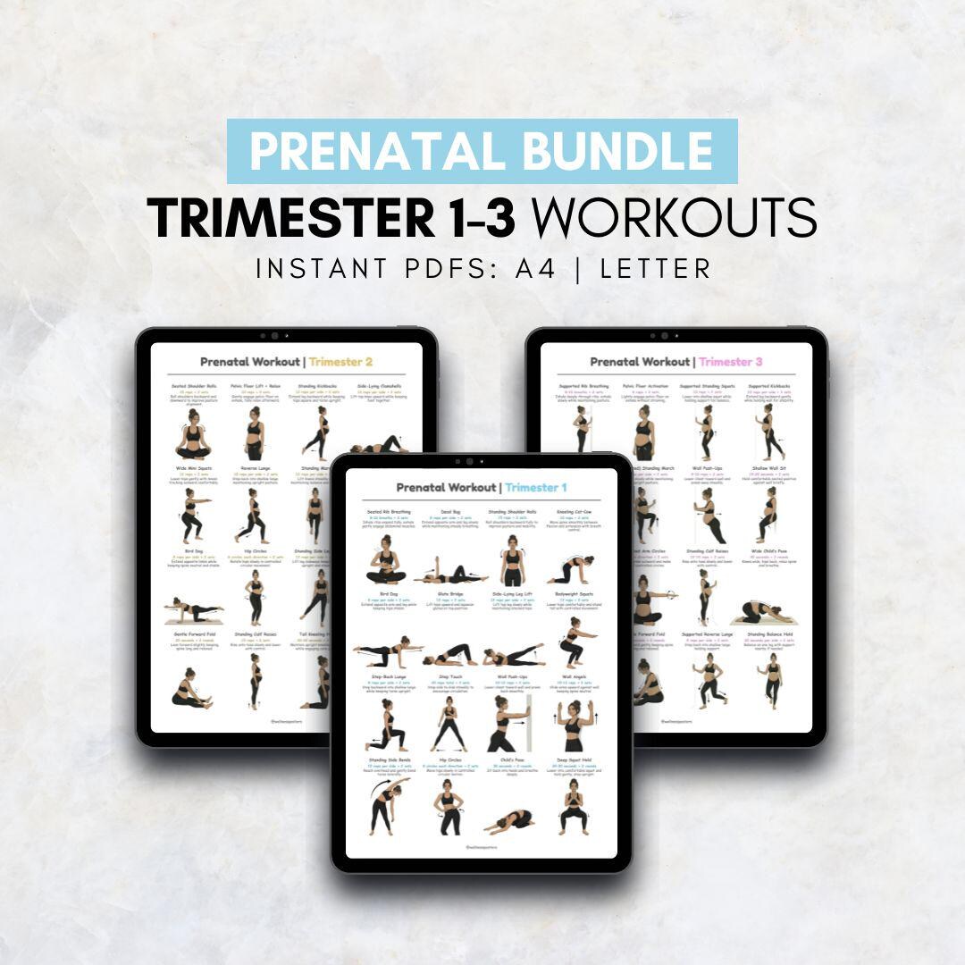 Prenatal Workout Bundle | Gentle Pregnancy Exercise Chart | Full Body ...