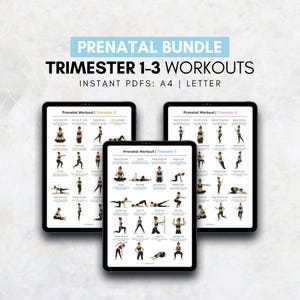 Prenatal Workout Bundle | Gentle Pregnancy Exercise Chart | Full Body Workout for Expecting Moms | Low Impact Home Fitness Poster PDF