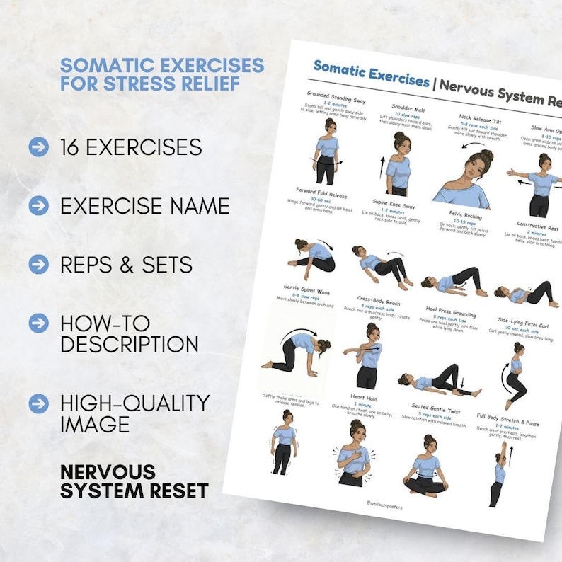 Pu&ograve; includere: Un poster bianco con esercizi somatici per alleviare lo stress e ripristinare il sistema nervoso. Presenta 16 esercizi con illustrazioni e istruzioni. Ideale per la gestione dello stress e il benessere.
