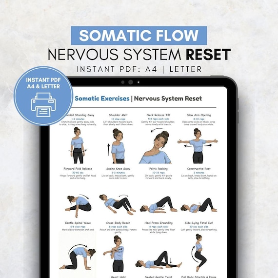 Somatic Nervous System Reset Workout PDF | Somatic Exercises | Stress & Anxiety Relief Exercises | Gentle Trauma-Informed Movement Printable