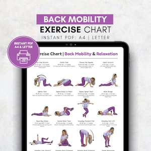 Back Exercises | Seated and Standing Back Exercise Poster | Upper and Lower Back Home Workout Printable Chart | Gentle No Equipment Exercise