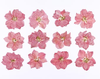 Pressed Consolida Flowers for Resin and Crafts - 12 pcs Dried Pink Flat Flower