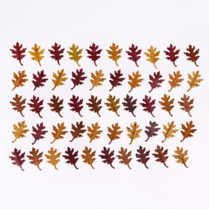 May include: A collection of small, decorative oak leaves in various autumnal colors, including red, yellow, and brown. The leaves are arranged in neat rows against a white background, perfect for fall-themed crafts and decorations.