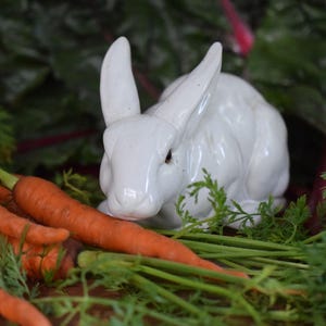 May include: A white ceramic rabbit figurine with upright ears and dark eyes, positioned among a cluster of fresh orange carrots with green leafy tops. The smooth, glossy surface of the rabbit contrasts with the textured, organic appearance of the vegetables.