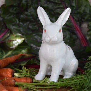 May include: A white ceramic rabbit figurine with red eyes, depicted in a seated position. The rabbit has upright ears, a textured nose area, and a smooth, glossy finish. It is positioned among fresh orange carrots with green leafy tops.