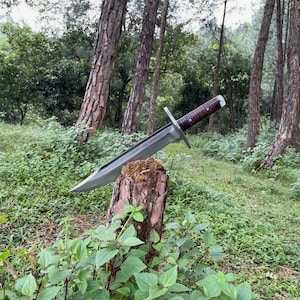 Saktisali Bowiemesser-Handgefertigtes taktisches Überlebensmesser-5160 Klinge aus Kohlenstoffstahl und Palisandergriff-Wikinger Gif