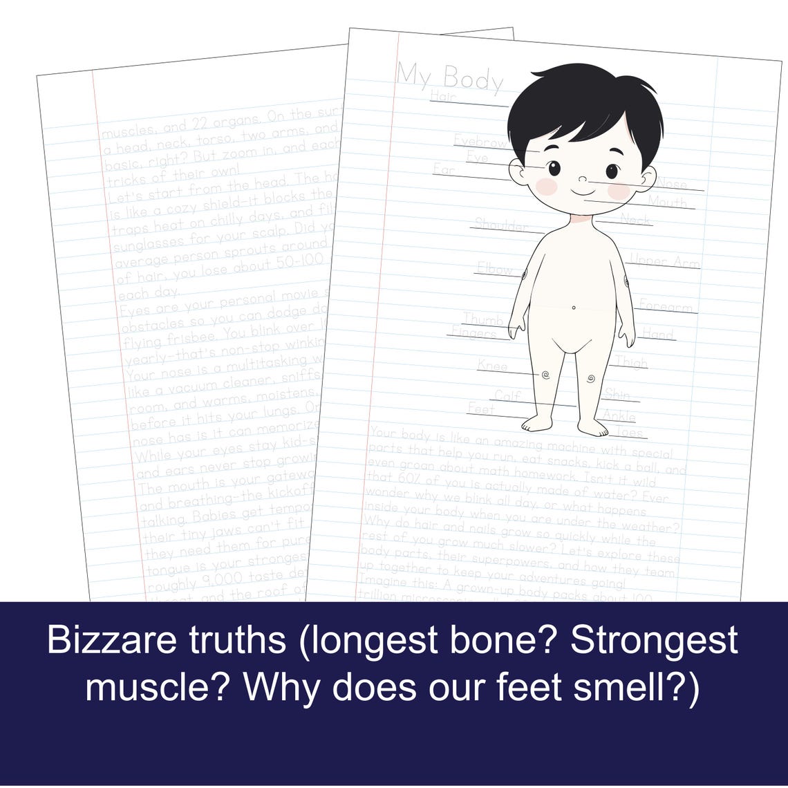 Traceable Human Tracing Worksheet - Human Anatomy Fun Facts | for Grade 1-4 | Instant ...