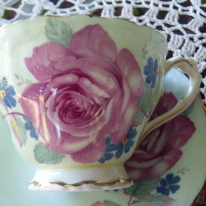Paragon Fine Bone China By Double Appointment of Her Majesty the Queen and The Queens Mother ~ Pale Green Cabbage Rose Tea Cup and Saucer