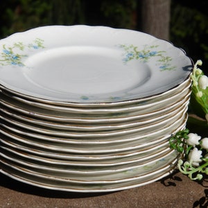 Set van 12 prachtige Homer Laughlin Hudson vintage blauwe bloemen swag coquille dessertborden ~ porseleinen verzamelborden ~ eten en serveren