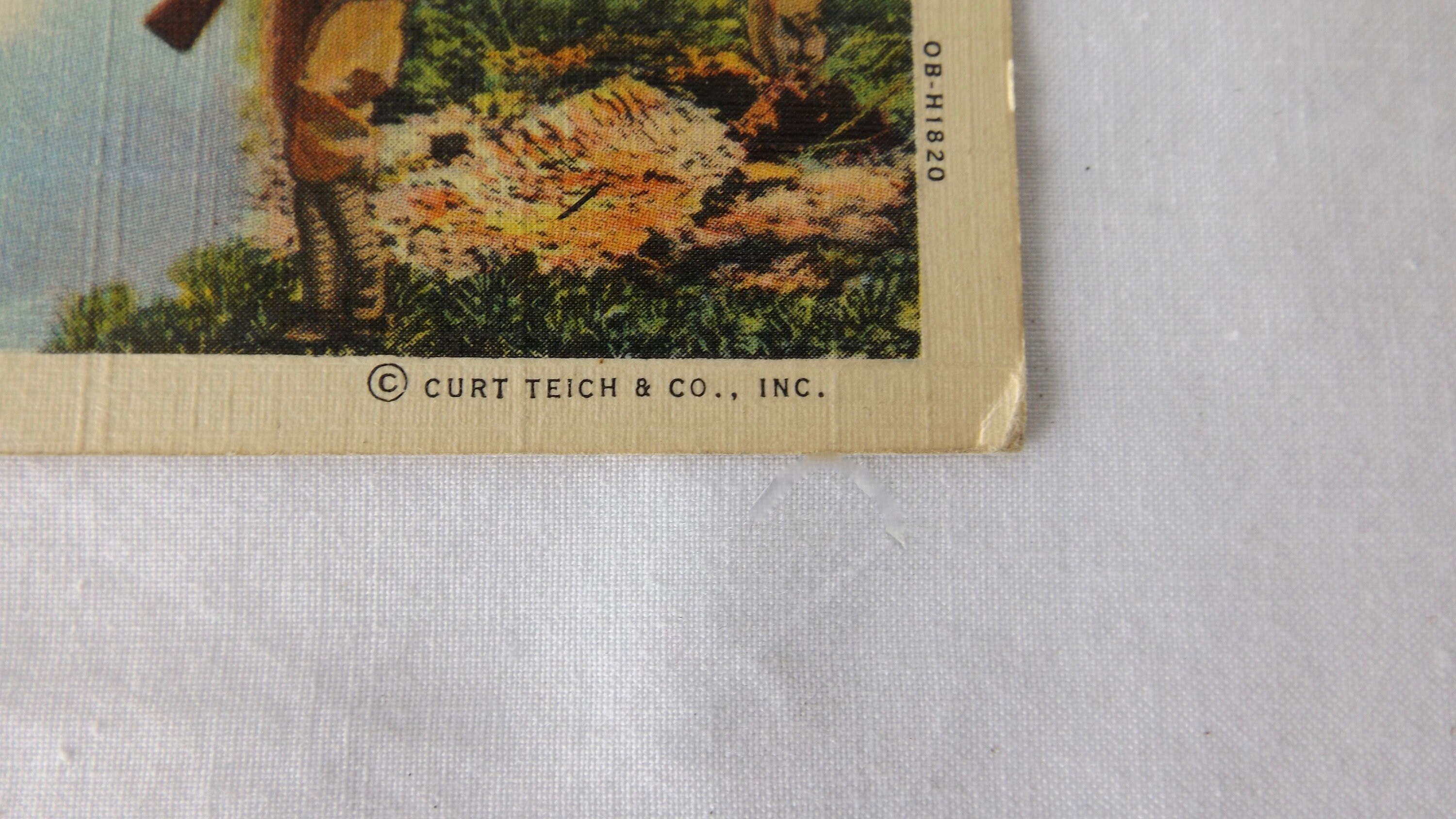 Vintage US Army Signal CORPS U.S. Infantry Curt Teich & Co. Inc. 1943