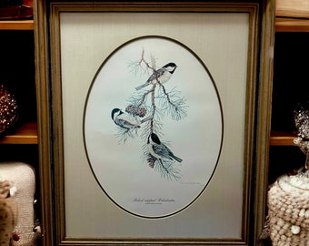 Black-Capped Chickade Lithograph/Print by Don Whitlatch Signed 913/1000