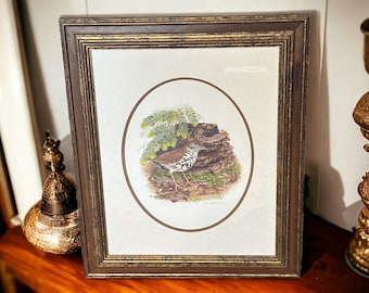 Don Whitlatch Limited Edition Signed Lithograph “Wood Thrush" 263/1500