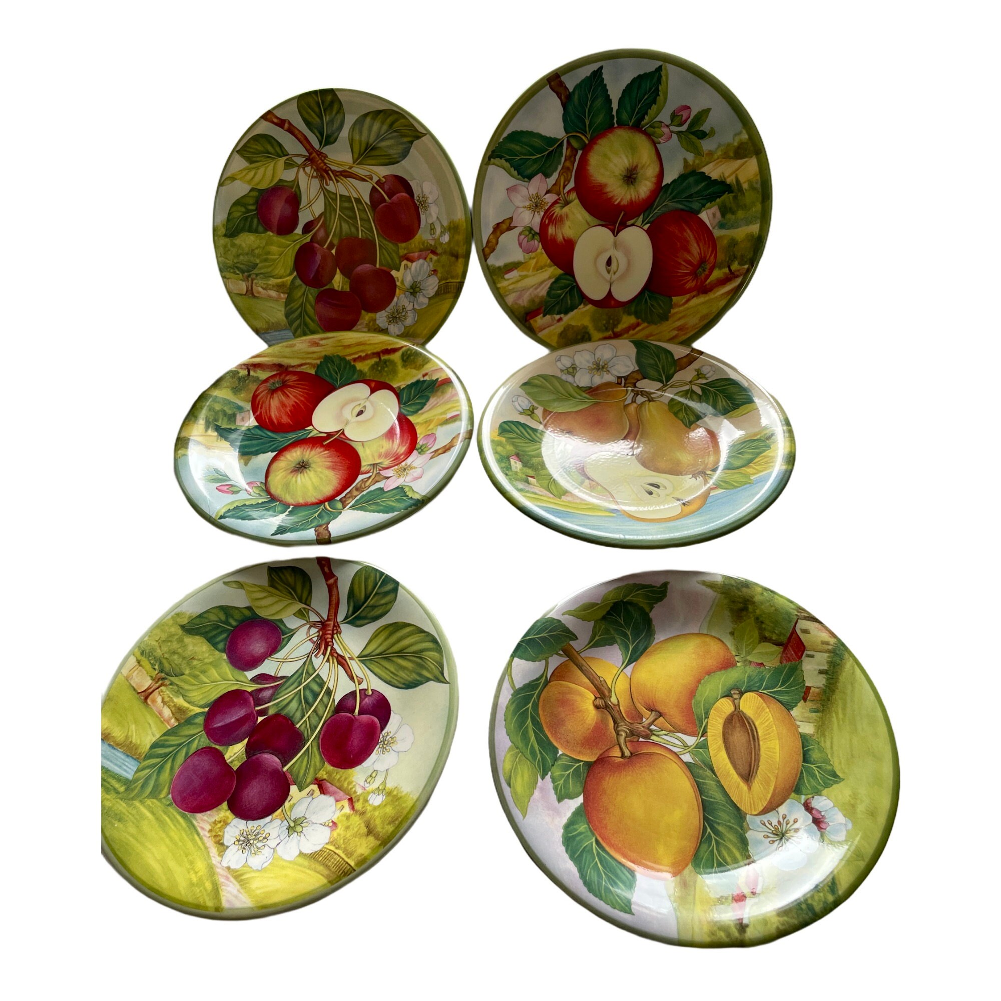 La Primula Salad Plates Set of 6 with Decorative Fruit Etsy