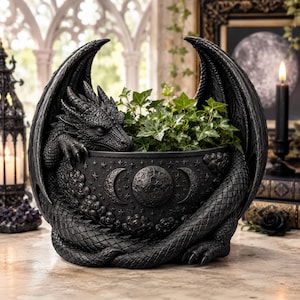 Peut inclure: Un pot de fleurs noir en forme de dragon avec un corps écailleux texturé et de grandes ailes entourant un bol central. Le bol est orné de motifs célestes en relief, incluant une pleine lune, des croissants de lune et des étoiles, contenant une plante verte.