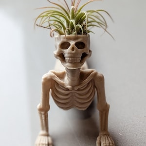 Yoga Skeleton Air Plant Holder, Meditating Skull Planters, Gothic Boho Decor image 6