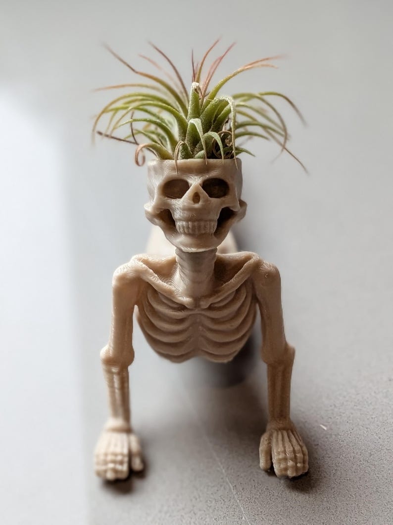 Yoga Skeleton Air Plant Holder, Meditating Skull Planters, Gothic Boho Decor image 6