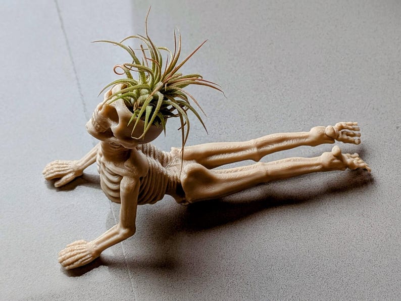 May include: A beige skeleton-shaped planter holding a green air plant. The skeleton is in a yoga pose, with arms and legs extended. The planter is made of a light-colored material and is on a gray surface.