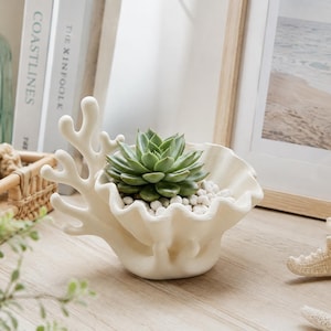 Op de afbeelding: Een matte gebroken witte keramische plantenbak in de vorm van een schelp met een koraalachtige takstructuur aan één kant. De plantenbak bevat een groene vetplant die tussen kleine witte decoratieve steentjes in de schelp staat.