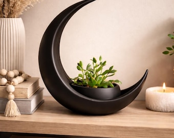 Crescent Moon Planter, Succulent Holder