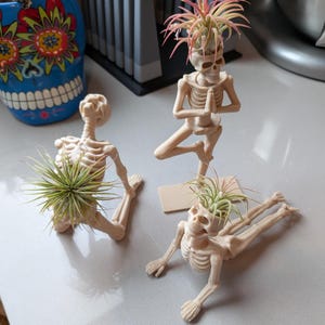 Puede incluir: Tres macetas beige con forma de esqueleto, cada una con una planta aérea. Un esqueleto está en una postura de yoga, otro está arrodillado y el tercero está acostado. Una maceta azul con forma de calavera con diseños florales está en el fondo.