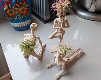 Yoga Skeleton Air Plant Holder, Meditating Skull Planters, Gothic Boho Decor