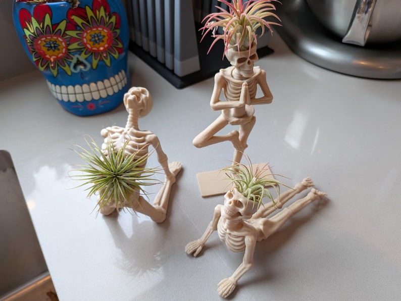 May include: Three beige skeleton-shaped planters, each holding an air plant. One skeleton is in a yoga pose, another is kneeling, and the third is lying down. A blue skull-shaped planter with floral designs is in the background.