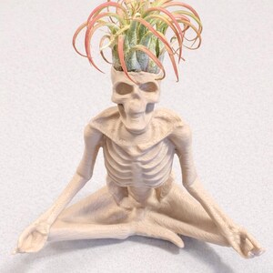 May include: A beige-colored skeleton figurine in a seated yoga pose, with arms and legs extended. The skull-shaped head holds a vibrant air plant with green and red leaves. The figurine is a unique decorative item.
