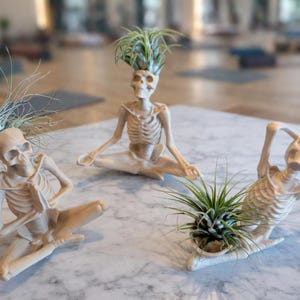 Yoga Skeleton Air Plant Holder, Meditating Skull Planters, Gothic Boho Decor image 2
