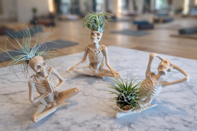 Yoga Skeleton Air Plant Holder, Meditating Skull Planters, Gothic Boho Decor image 2