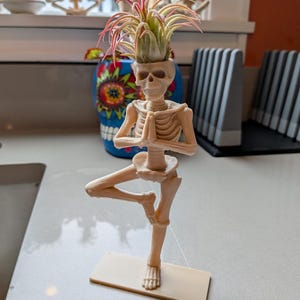 May include: A beige skeleton figurine in a yoga pose, holding a plant with green and red leaves. The skeleton is standing on a beige rectangular base. A blue and colorful skull vase is in the background.