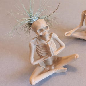 May include: A beige skeleton figurine in a seated yoga pose, with hands together in prayer. The skull head holds a small air plant. The figurine is made of a light-colored material and is on a neutral background.