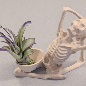 Yoga Skeleton Air Plant Holder, Meditating Skull Planters, Gothic Boho Decor image 9