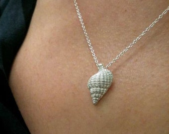 Silver Nutmeg Shell Necklace