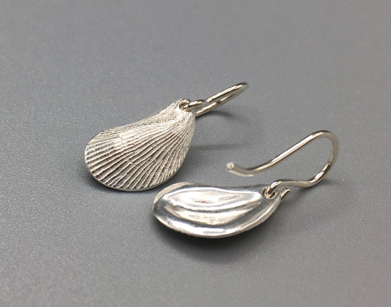 Silver Mussel Shell Earrings image 3