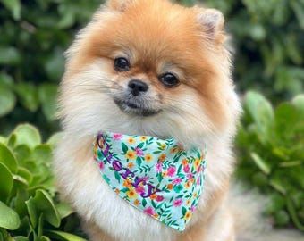 Personalized Dog Bandana- Custom Embroidered Name, Puppy Scarf, Adjustable Pet Accessory