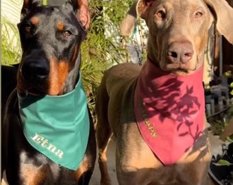 Personalized Dog Bandana- Custom Embroidered Name, Puppy Scarf, Adjustable Pet Accessory