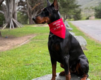 Besticktes Hundehalstuch – Individuell