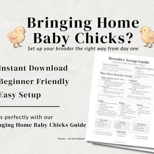May include: A guide titled "Bringing Home Baby Chicks?" with text and illustrations of chicks. The guide includes sections on brooder setup, with bullet points and checklists. The words "Instant Download," "Beginner Friendly," and "Easy Setup" are also visible.