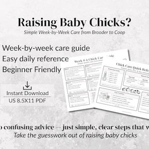 May include: A printable guide titled "Raising Baby Chicks?" with week-by-week care instructions. The guide includes a quick reference chart and emphasizes easy daily reference and beginner-friendly advice. Available as an instant US 8.5x11 PDF download.