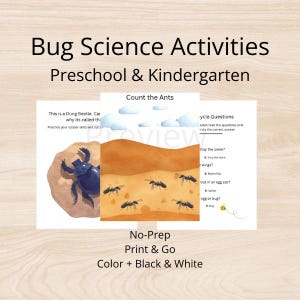 From Egg to Bug | Preschool Bug Activities | Early Learning Science Printable | PreK & Kindergarten