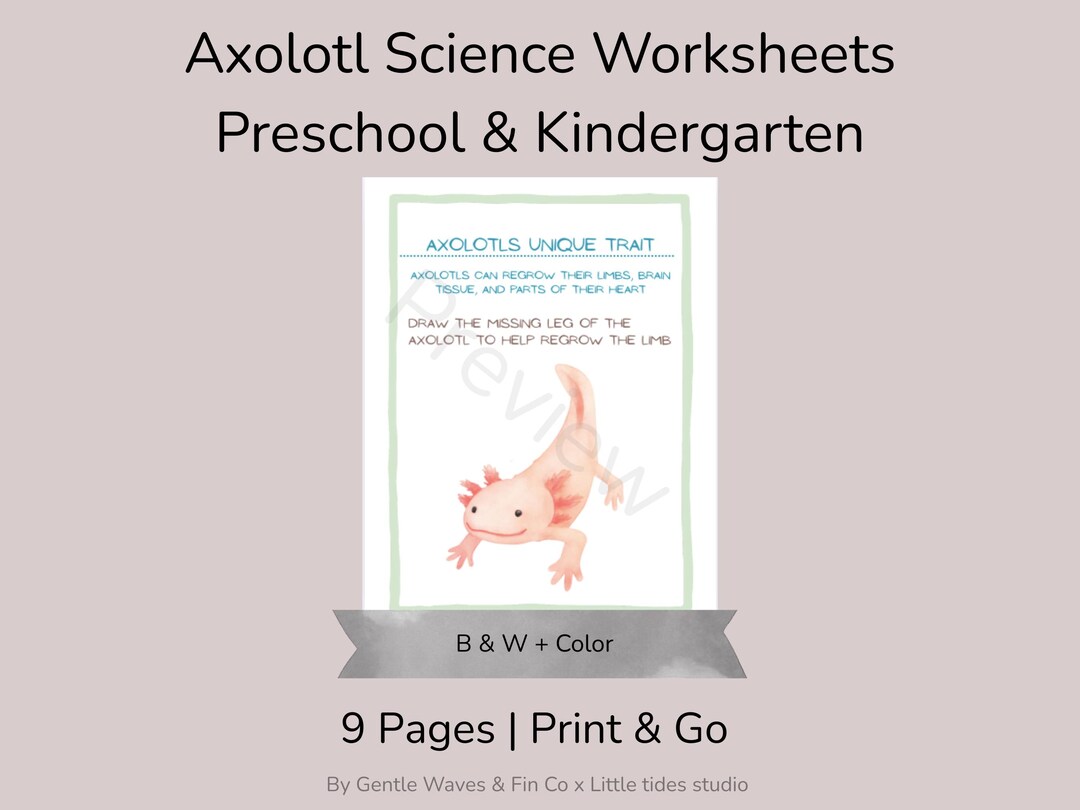 Axolotl Worksheets.pdf Axolotl Science Worksheets | Pre-k & Kindergarten Amphibian Unit ...
