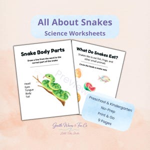 May include: Educational science worksheets titled All About Snakes featuring activities like Snake Body Parts and What Do Snakes Eat. The pages include illustrations of a green snake on a branch, a mouse, a fish, and watermelon slices for preschool and kindergarten students.
