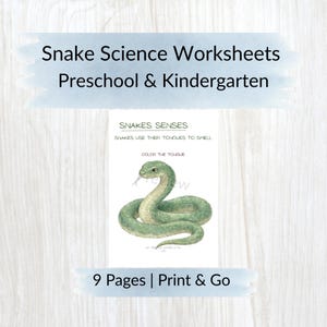 Schlangen-Wissenschafts-Arbeitsblätter | Reptil Einheit Studie, Pre-K & Kindergarten (druckbar)