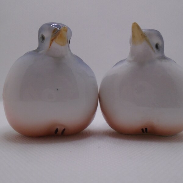 Bird Salt and Pepper Shaker Etsy