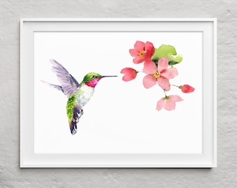 best gifts for hummingbird lovers