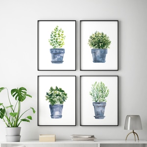 Herbs Blue Gray Print Set of 4, Oregano, Parsley, Rosemary, Oregano With Small Leaves, Herb Prints, Herb Wall Art Painting,Kitchen Art