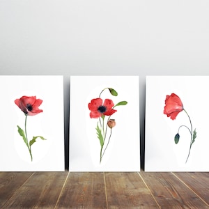 Red Poppy Watercolor Painting Print Set of 3, Flower Print Set 3, Flower Decor, Poppies Wall Art, Floral Painting, Nursery Flowers