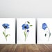 Blue Flowers Print Set of 3 Blue Poppy Wall Art Poppies - Etsy
