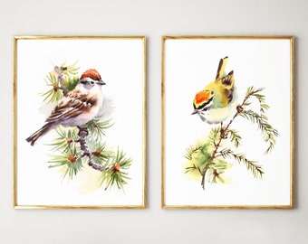 Bird Watercolor Print Set of 2, Bird On A Branch Wall Art, Sparrow Kinglet, Bird Painting Set, Bird Wall Art Set of 2, Bird Prints, Bird Art