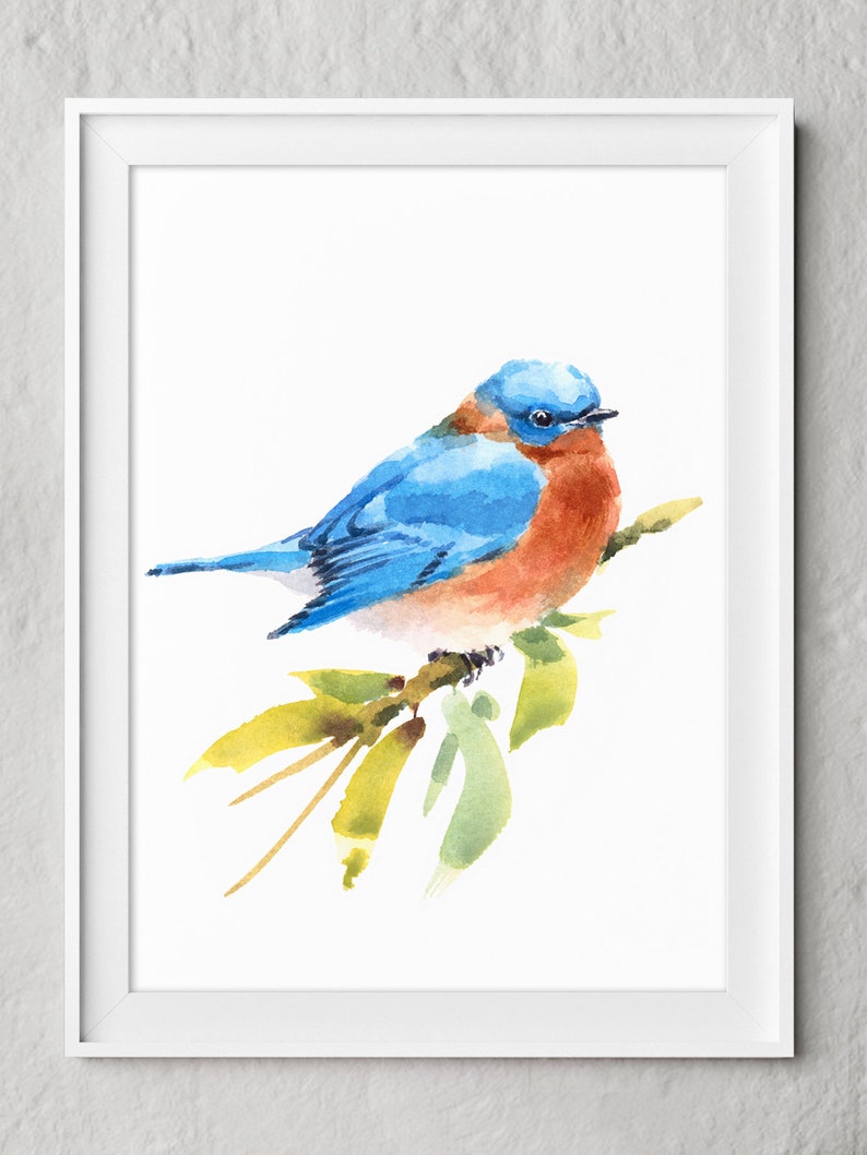 Watercolor Bird Art Print Set of 2 Watercolor Bluebirds - Etsy